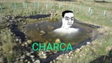Charca Chud