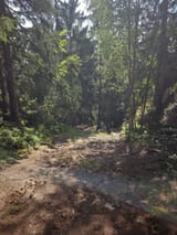 1725413878508684
