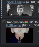 1751310020452387