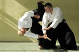 1681595230_sport-pibig-info-p-chempion-mira-po-aikido-krasivo-72