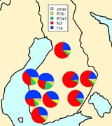 images (1)