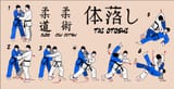 depositphotos_9981963-stock-illustration-judo-technique