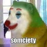 somciety