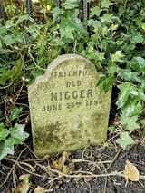 nigger