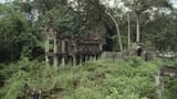 Cambodian-Jungle-e1462902513665-1