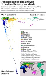 western-europeans-share-more-genetic-similarity-with-the-v0-twe9f1q0wvla1