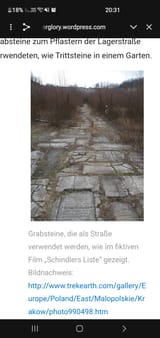Screenshot_20250803-203148_Chrome