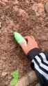 1735132722501417_thumb.jpg