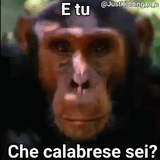 1726128939056908