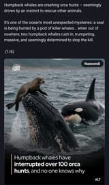 1754250556264995