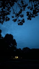 PXL_20250803_203117015.MP