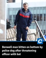 bitten