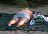 landwhale