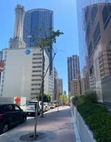 IMG_8790