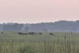 IMG_5645