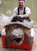 snapper