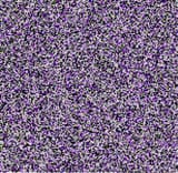 1731406644637564