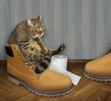 8987