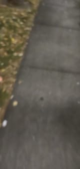 20250804_015043