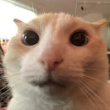 1726209465695689