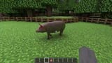GxdhWLNWsAAQ74L[1]