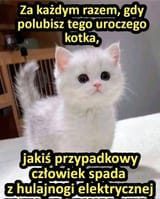 1747993046298856