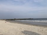 IMG_3139