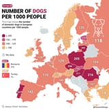 1753723595818779
