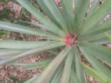 IMG_20250804_133026277