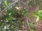 IMG_20250804_133045550