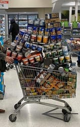 245710118.jpg.gallery