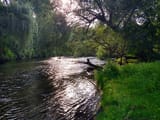 IMG_20250804_085205918_HDR