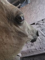 1753678832942183