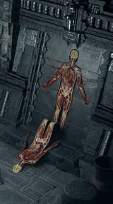 vaal_bruh
