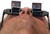 1754344115667409