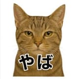images (14)