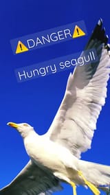 1737947327168924