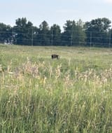 IMG_5656