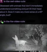 1730500018846219