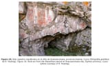 arte-rupestre-republicano-cusco