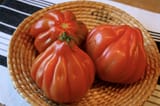 tomatoes-1134559_1280