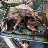 cooked raccoon