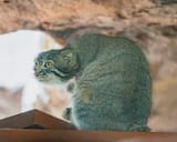 IMG_20250803_151927_086