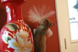 IMG_20250805_112113