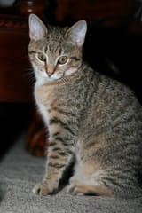 IMG_20250805_111508