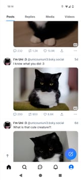 Screenshot_20250805-181419