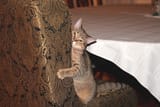 IMG_20250805_111517