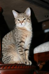 IMG_20250805_111133