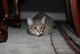 IMG_20250805_111402