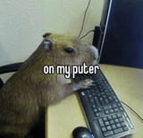GxeqtqxbIAAAOfa